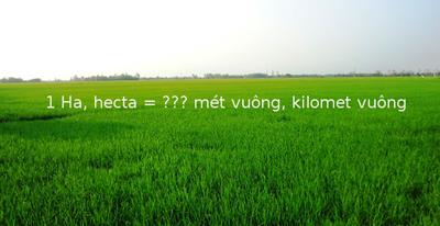 Quy đổi dễ dàng và nhanh chóng 1 hecta bằng bao nhiêu km2
