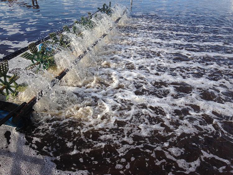 Cách xác định đất NTS với yếu tố quan trọng