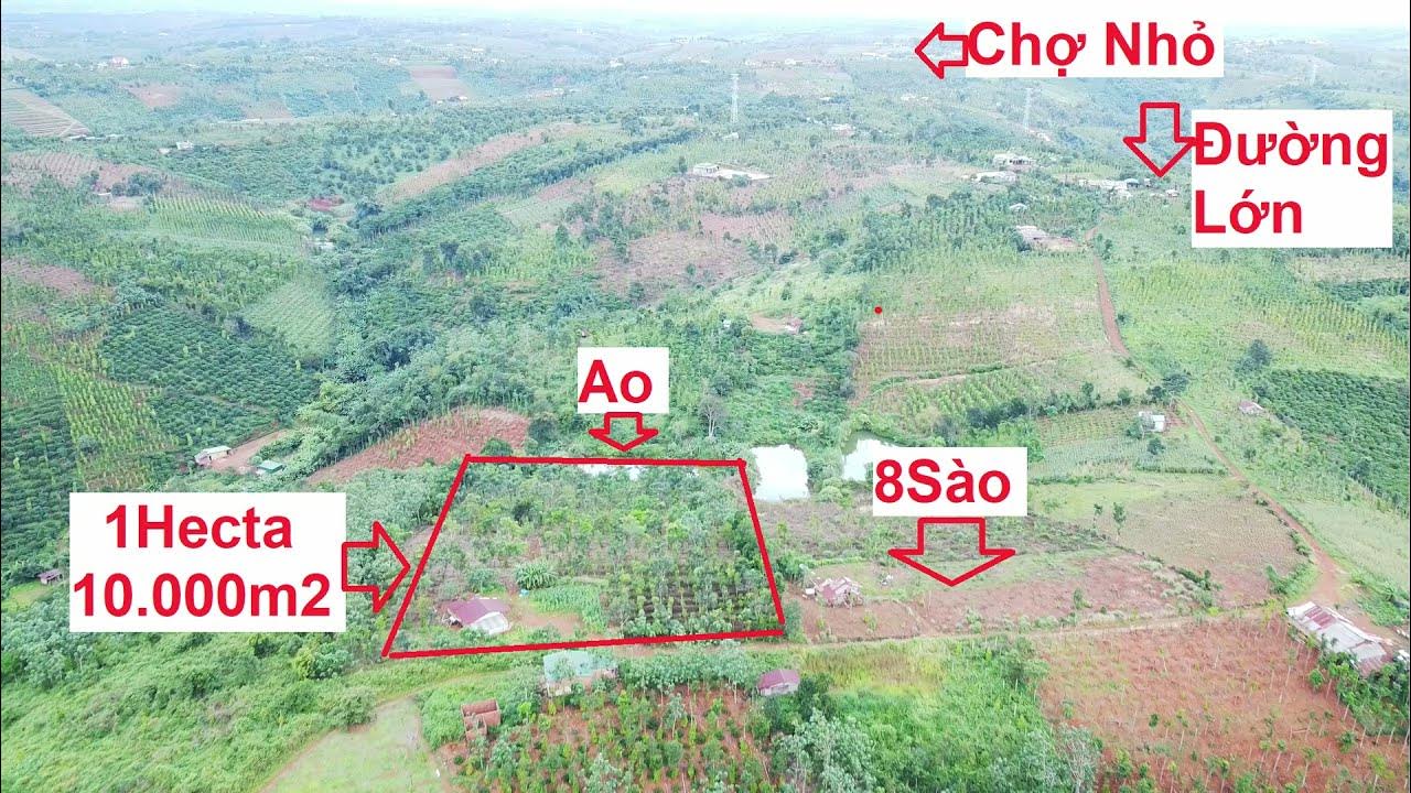 Lý do cần xác định chính xác 1 hecta bằng bao nhiêu km2