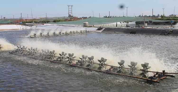 NTS là đất gì? Cách phân loại đặc điểm chính xác