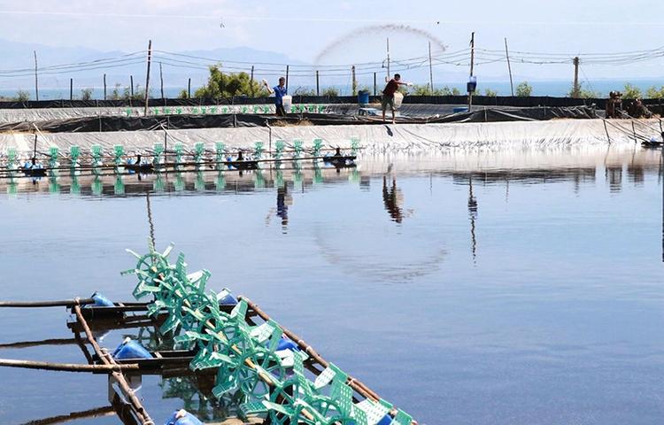 Thách thức trong cơ hội đầu tư đất NTS